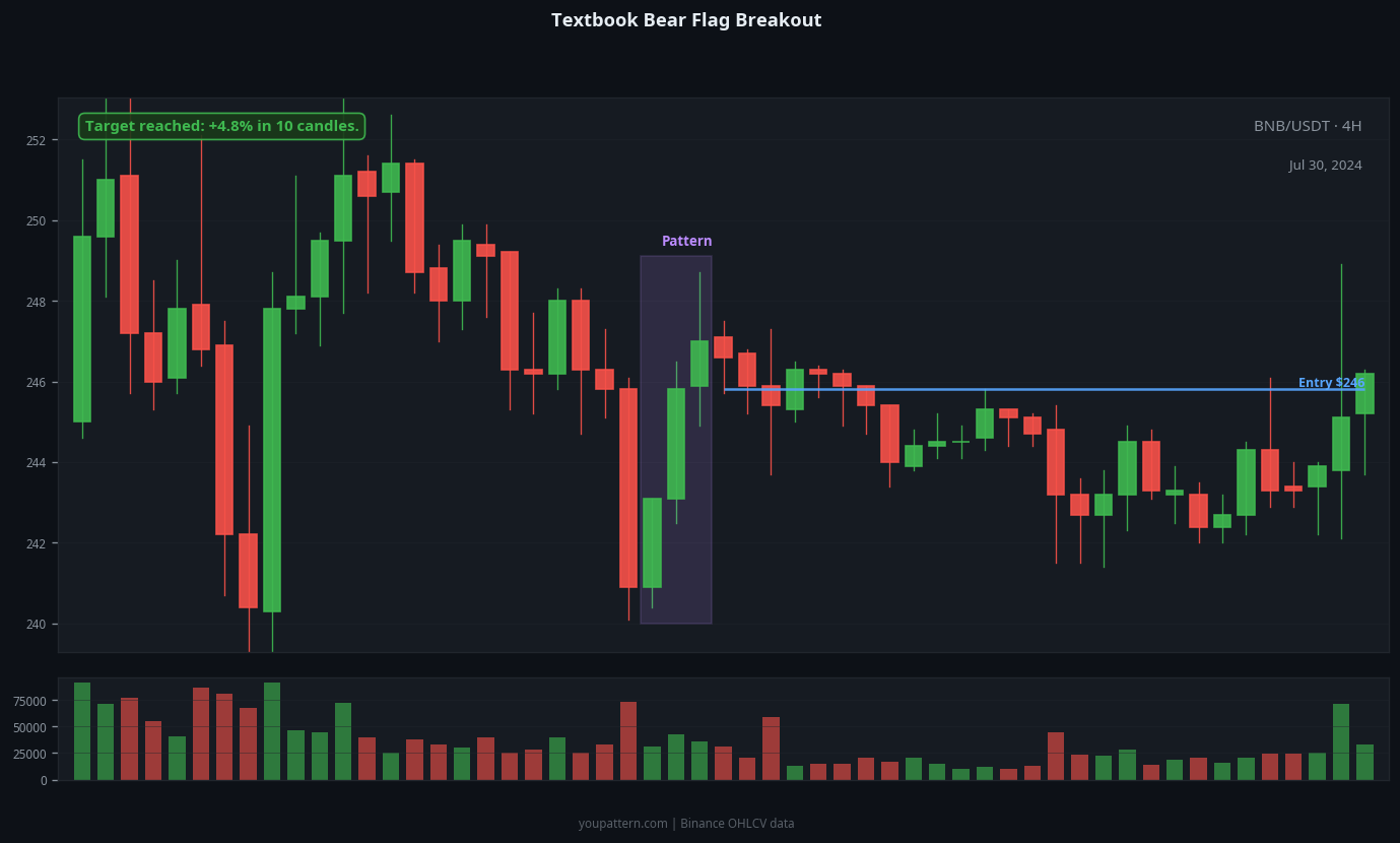 Bear Flag successful trade example on BNB/USDT 4H chart