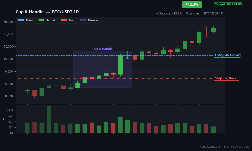 Cup & Handle on BTC/USDT 1D — Feb 09, 2021 — success example