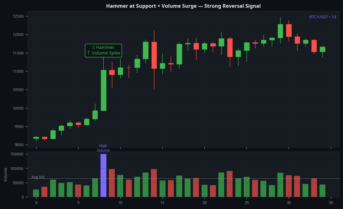 Hammer candlestick at support level with volume surge BTC 1D daily strong reversal signal